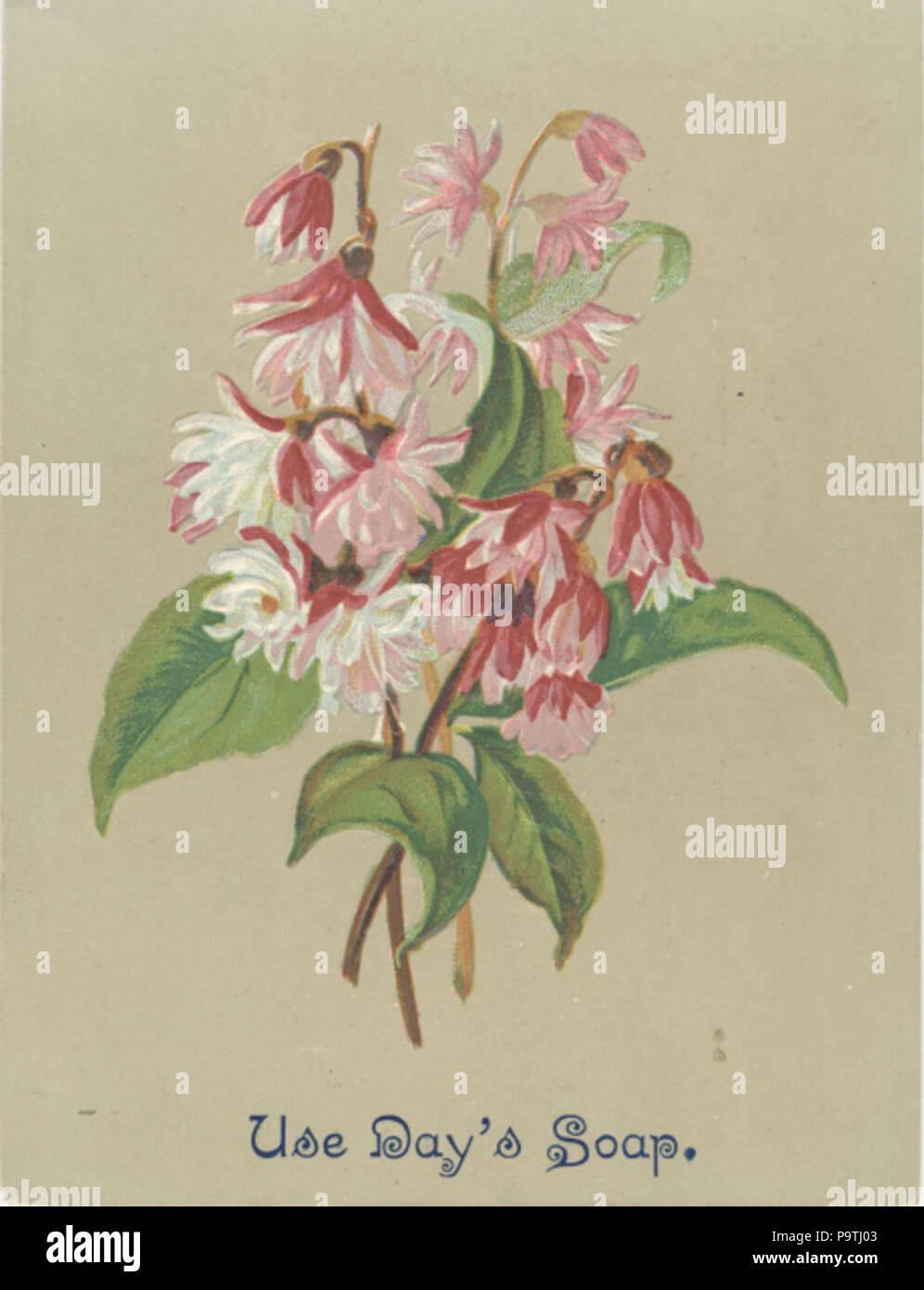 374 Tag und Frick (3093743040) Stockfoto