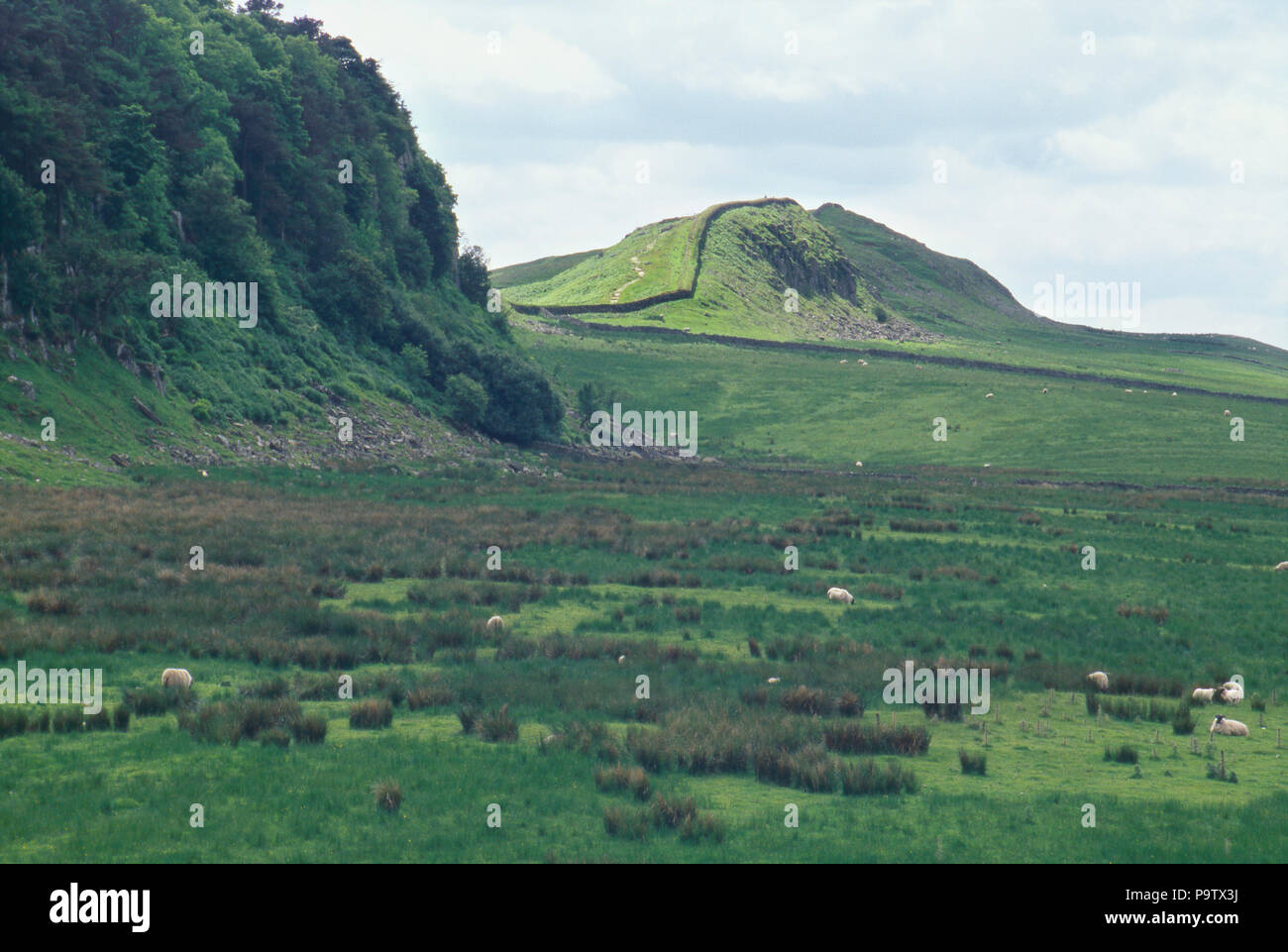 Hadrian's Wall, Grenze des Römischen Reiches in Northumbria, England, 2. Foto Stockfoto