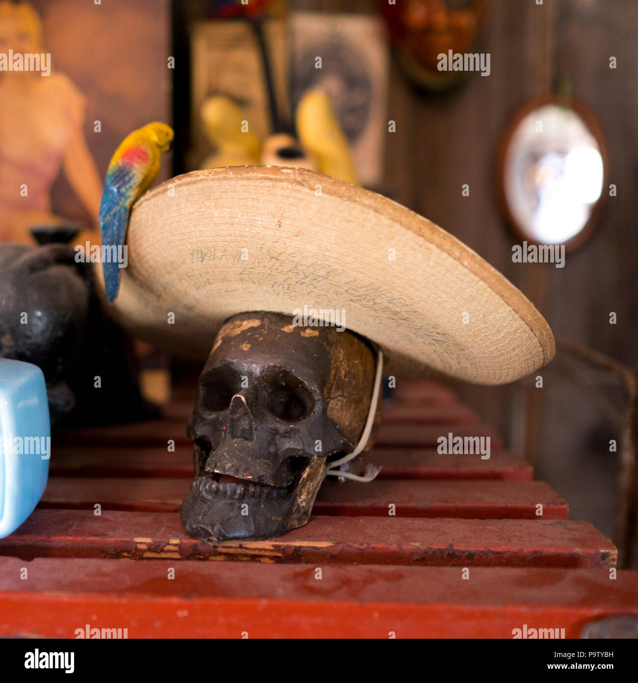 Nahaufnahme der Spielzeug Schädel mit Sombrero und Papagei auf dem Regal, die von anderen interessanten und bunten Erinnerungsstücke umgeben Stockfoto