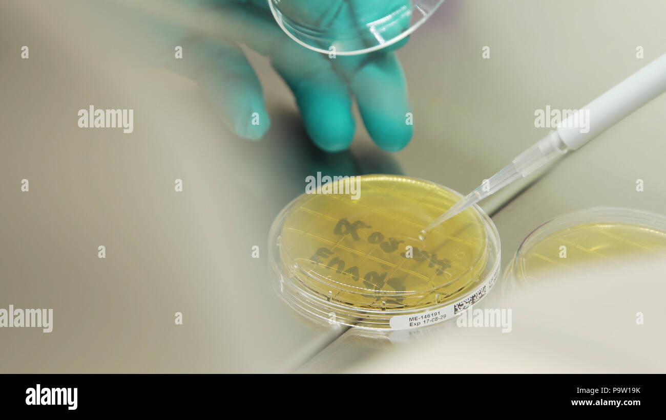 Mikrobiologe ist die Durchführung von Forschungsarbeiten und Tests mit biologischen Proben. Wissenschaftler Wissenschaftler verwendet Mikropipette Füllung Reagenzgläser im Labor. Stockfoto