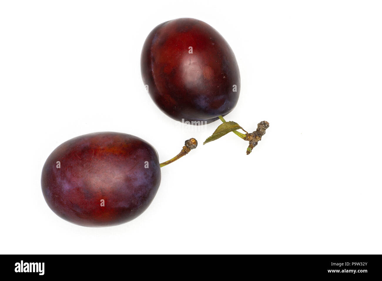 Gruppe von zwei ganze Frische blau-violette Plum vibrant Moyer Vielzahl flatlay isoliert auf weißem Stockfoto