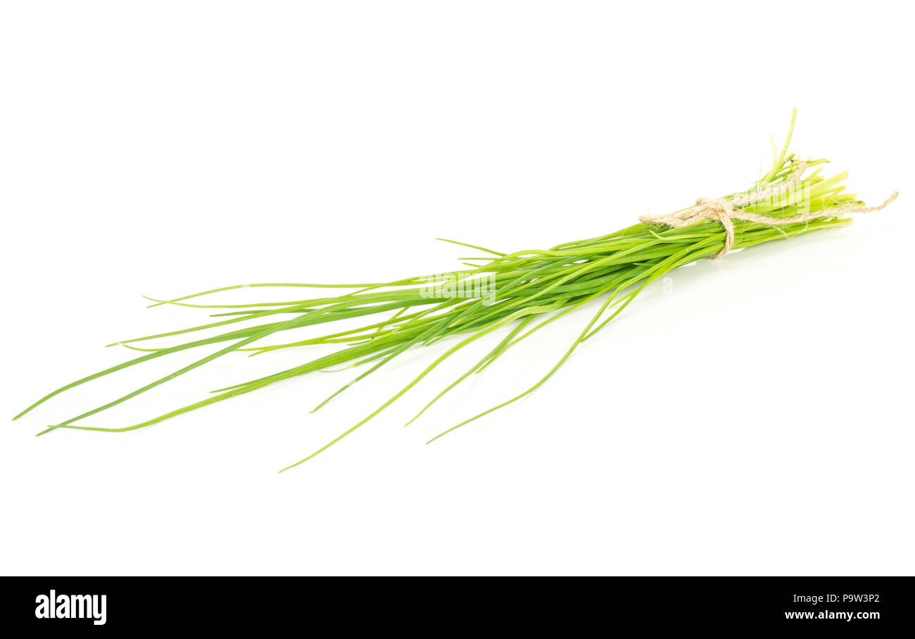Frischer Schnittlauch Bündel von Seil auf weißem Hintergrund Gras schlanke Blätter isoliert gebunden Stockfoto
