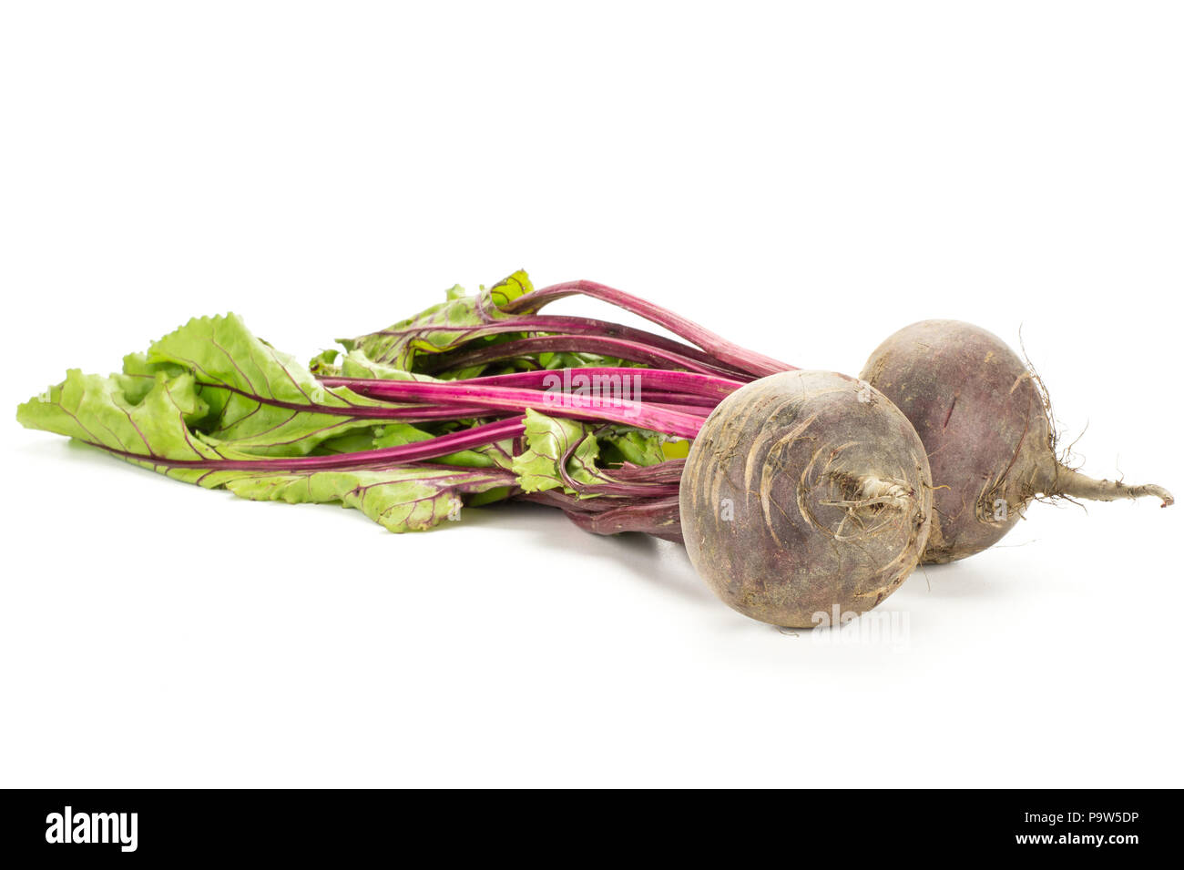 Rote Bete mit Grüns auf weißem Hintergrund zwei Glühlampen root mit frischen jungen Blätter Stockfoto