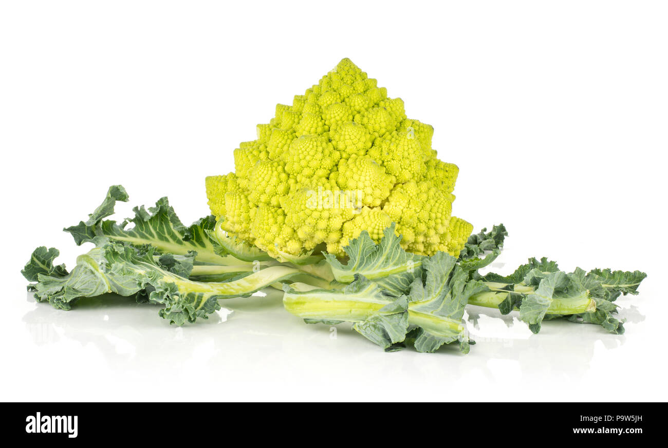 Romanesco Blumenkohl oder Brokkoli auf weißen Hintergrund Eine grüne Kopf mit Blättern isoliert Stockfoto