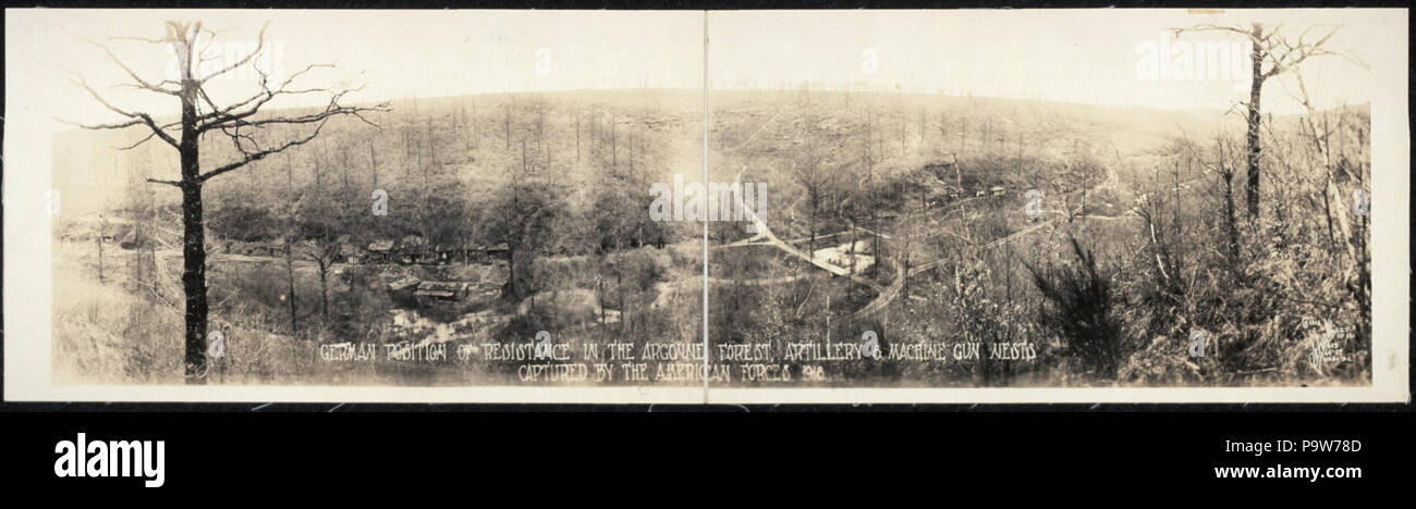 708 deutsche Position des Widerstandes in den Argonnen, Artillerie und MG-Nester, erfasst durch die amerikanischen Truppen 1918 LCCN 2007663843 Stockfoto