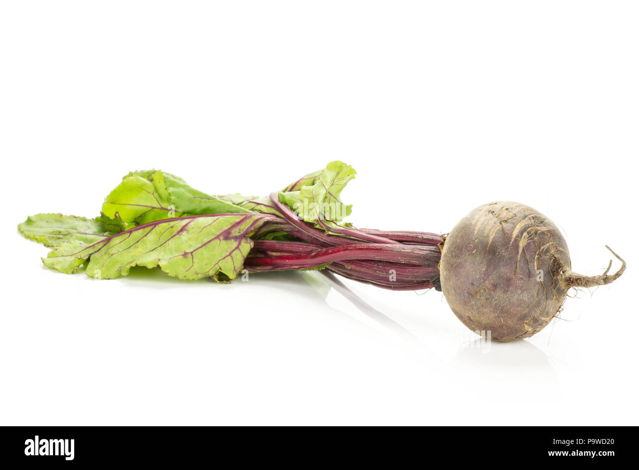 Rote Bete mit Grüns auf weißem Hintergrund eine Glühbirne root mit Blättern isoliert Stockfoto