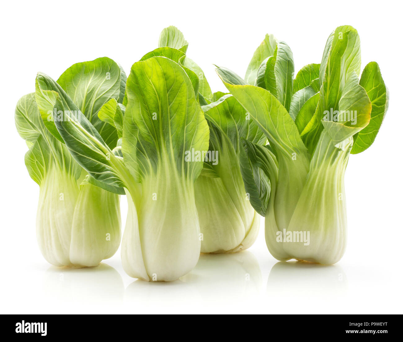 Bok Choy (Pak Choi) vier frischen Kohl auf weißem Hintergrund Stockfoto