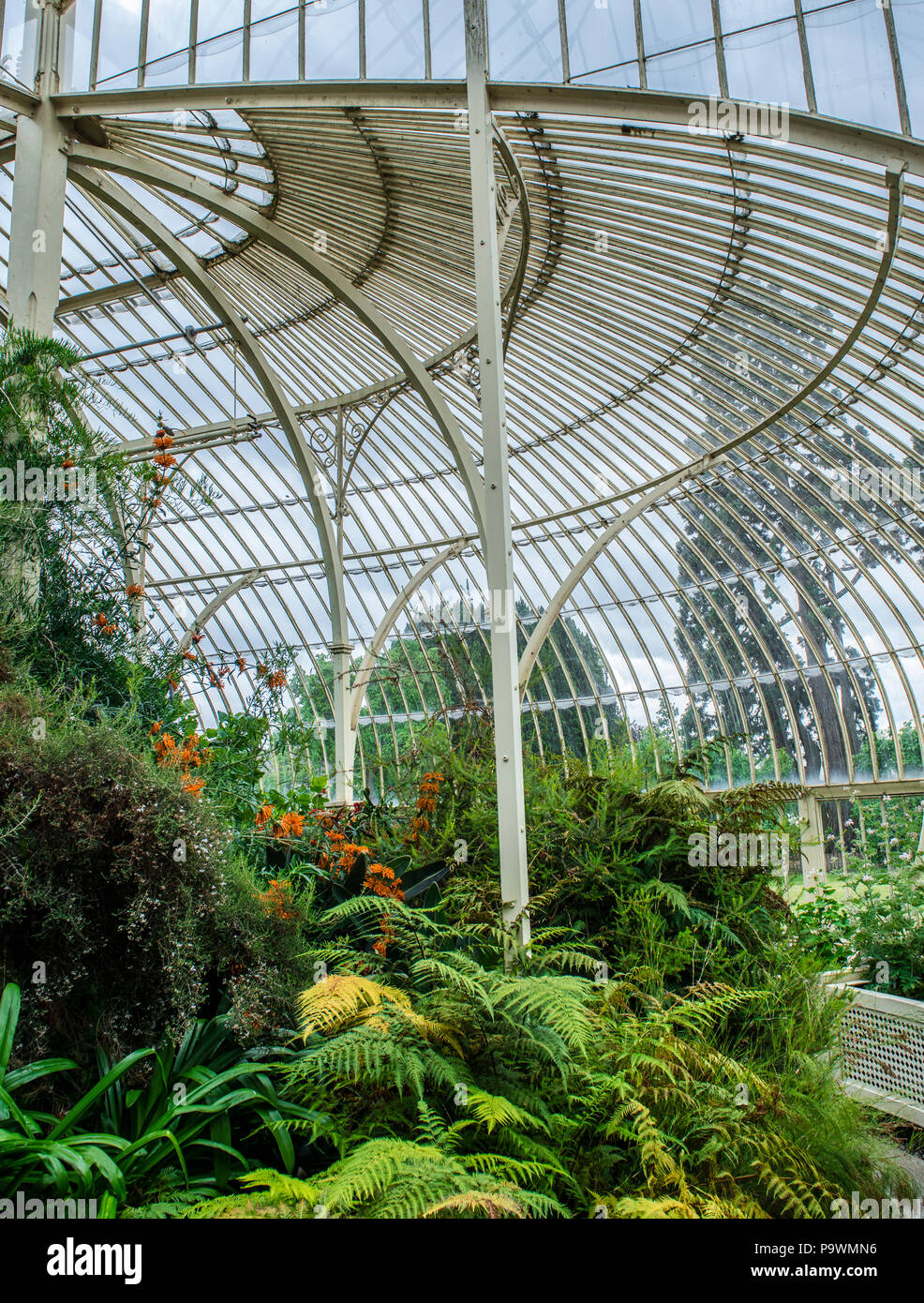 Treibhausgasemissionen von 1849, auch als kurvenförmige, Botanischer Garten, Architekt Richard Turner, Innenansicht, Dublin, Irland Stockfoto