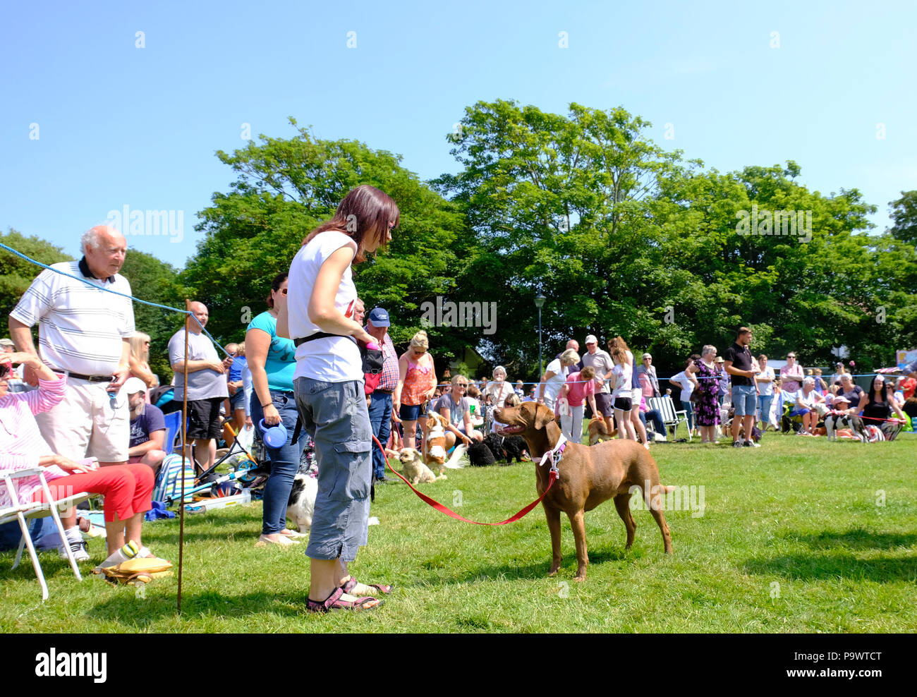 East Preston, West Sussex, UK. Fun Dog Show auf Dorf statt Grün Stockfoto