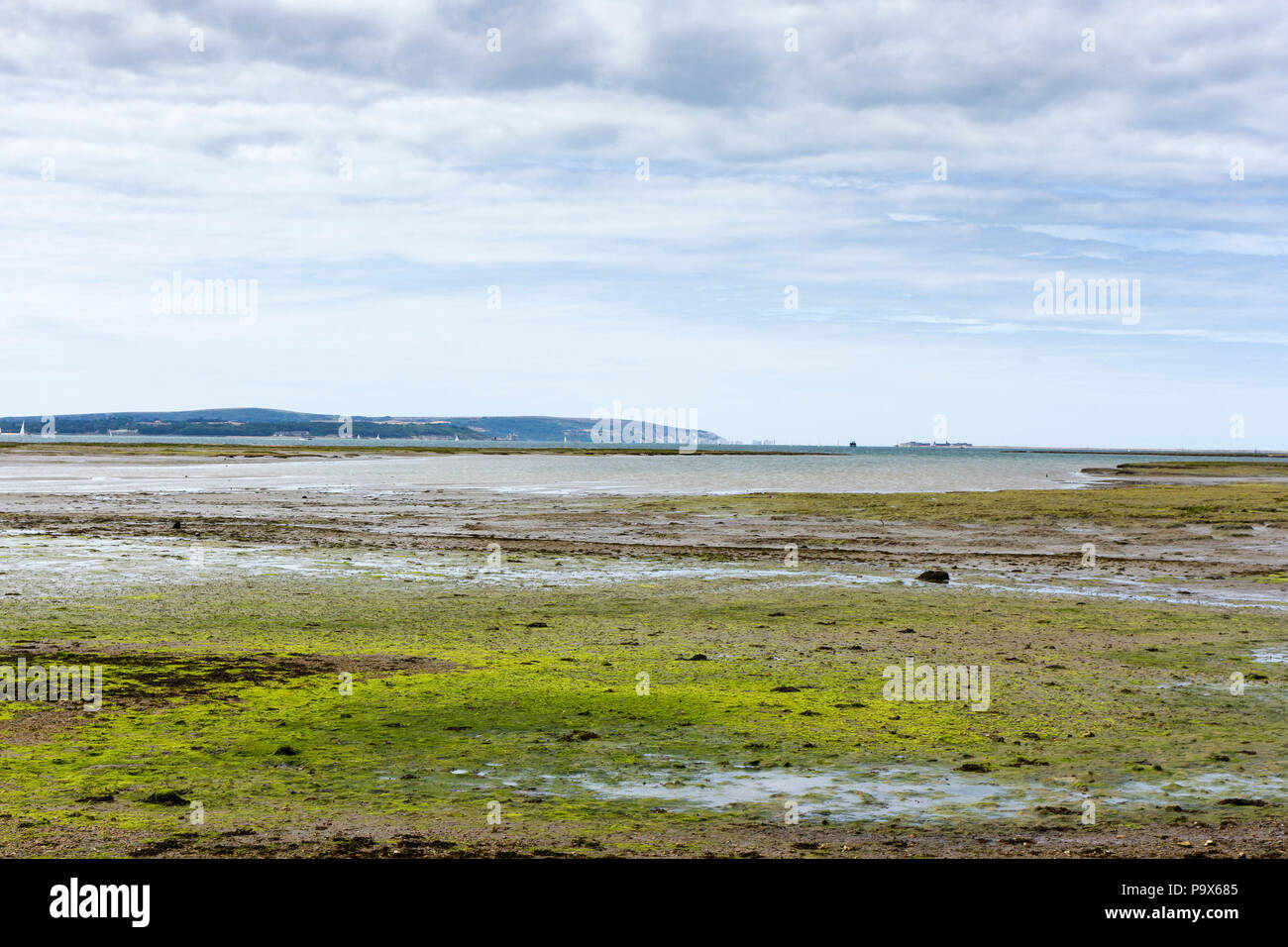 Blick von der Hampshire Küste an einem bewölkten Tag im Sommer, England, Großbritannien Stockfoto