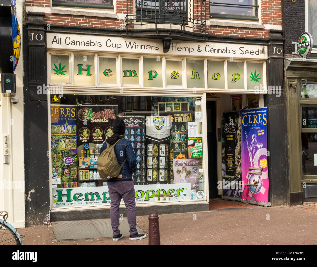 Mann am Fenster Anzeige einer Hanf Shop Drogen shop shop in Amsterdam, Niederlande, Holland, Europa suchen Stockfoto
