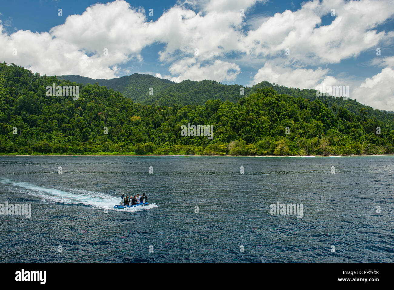 Eine kleine Speedboot mit Tauchern an Bord zu einem Tauchplatz, mit grünen Waldes auf einer Insel im Hintergrund und blauen Himmel und Wolken. Stockfoto