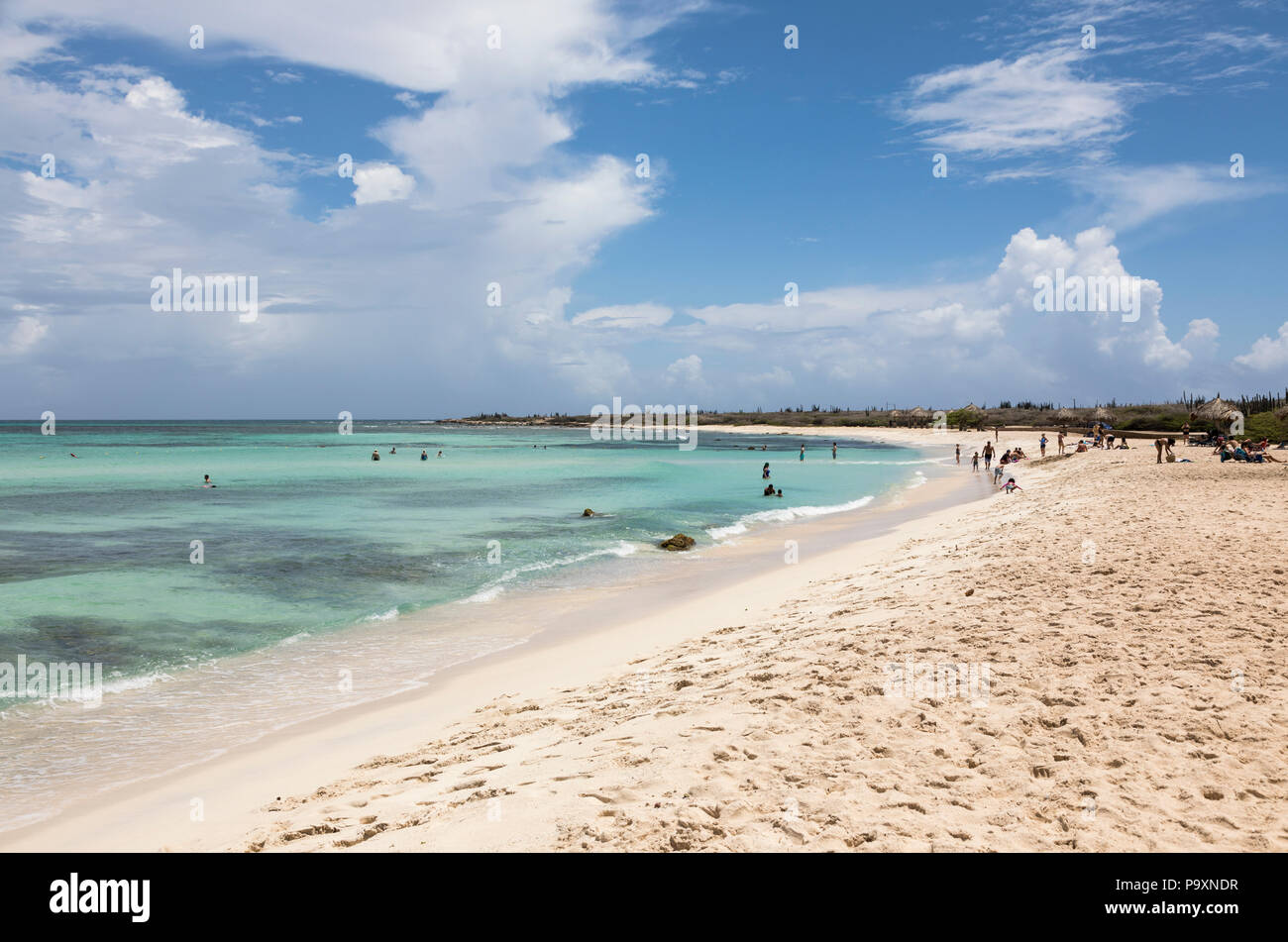 Arashi Beach - ein idyllischer weißer Sandstrand auf der Karibikinsel Aruba, Karibik Stockfoto