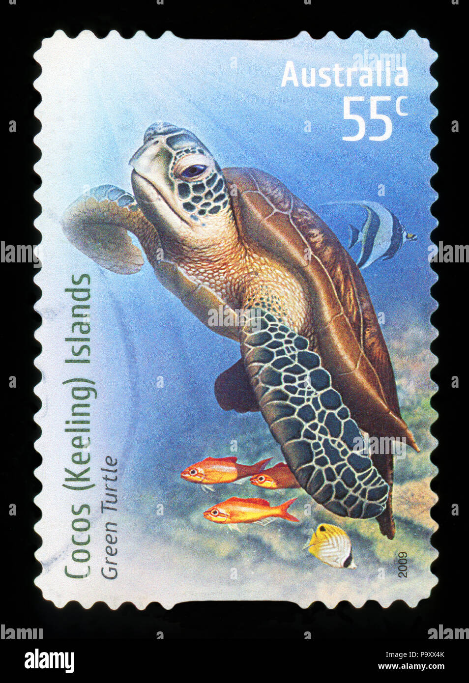 Australien - ca. 2009: einen Stempel in Australien gedruckten zeigt Grüne Schildkröte bei Cocos (Keeling) Inseln, ca. 2009 Stockfoto
