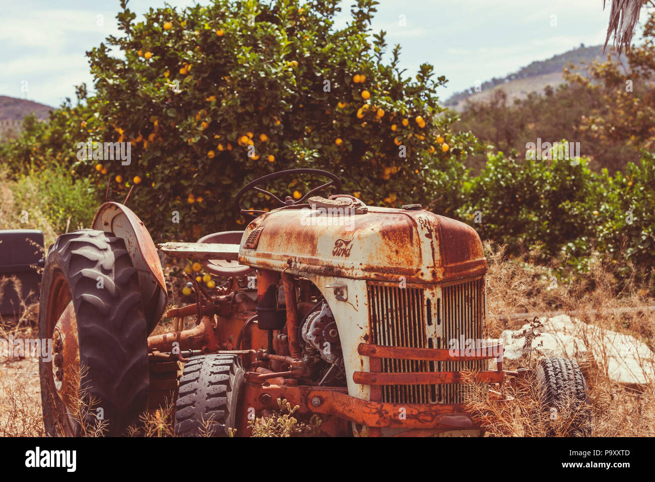 Einen alten verrosteten Traktor in einen orangefarbenen Feld. Stockfoto