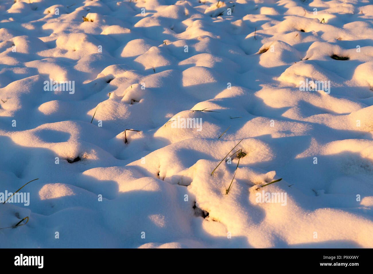 Leuchtet gelb und orange Licht der untergehenden Sonne wellig Schneeverwehungen im Winter, Nahaufnahme im Wald Stockfoto