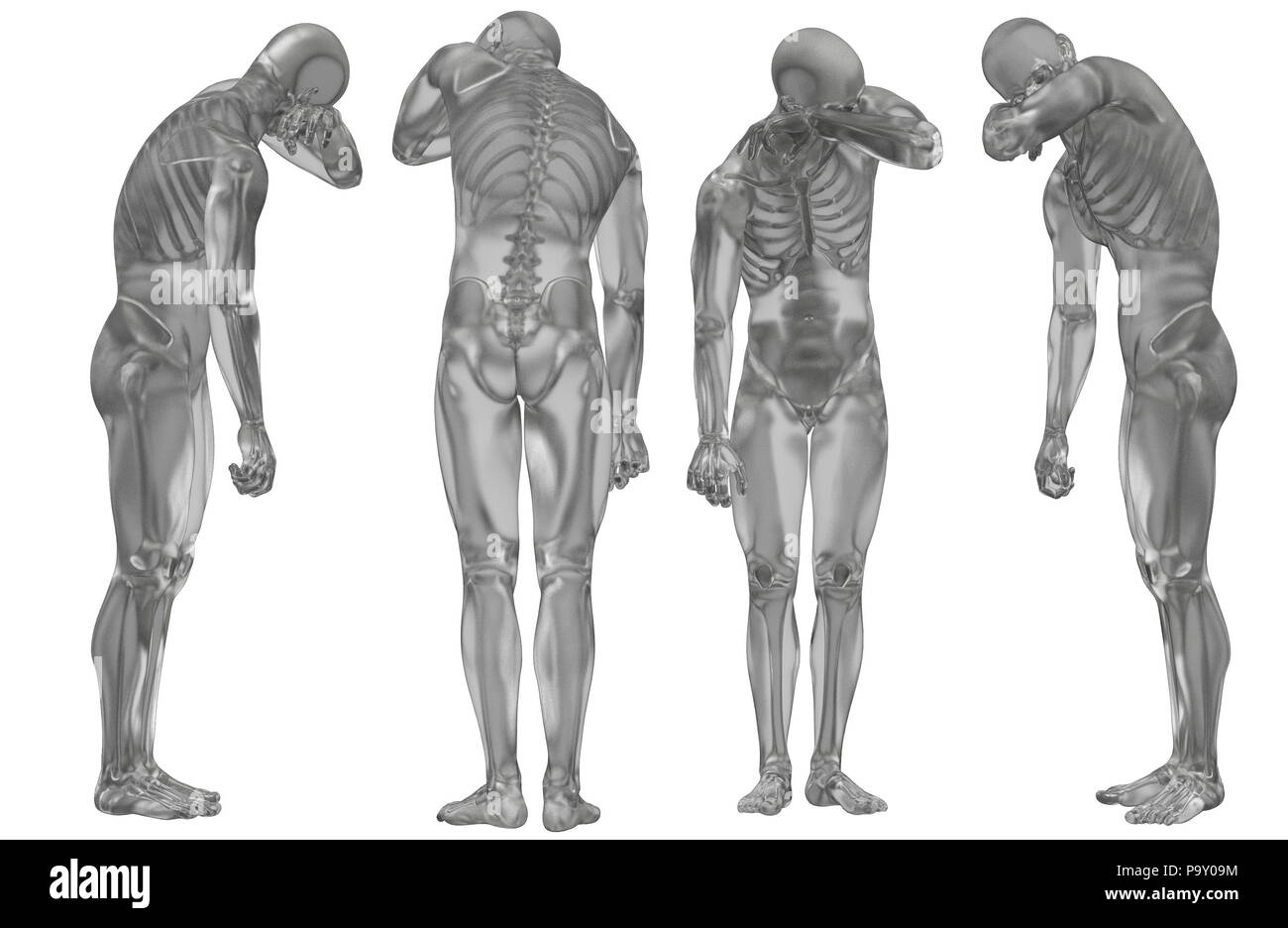 Menschliche Anatomieskulptur Ausgeschnittene Stockfotos und -bilder - Alamy
