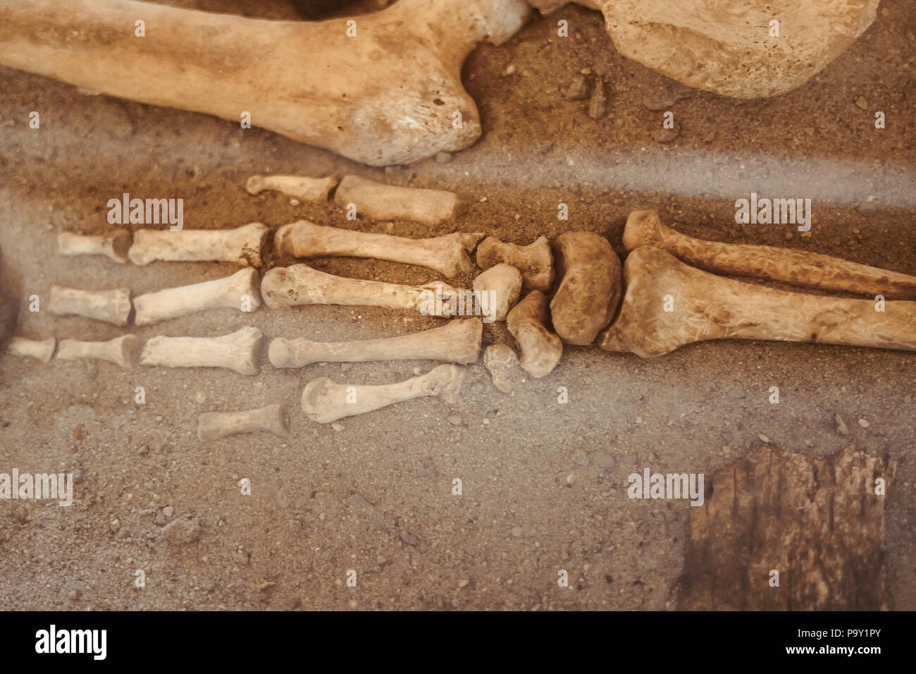 Archäologische Ausgrabungen und Funde aus Knochen der ein Skelett in einer menschlichen Beerdigung, ein Detail der historischen Forschung, die Vorgeschichte. Stockfoto