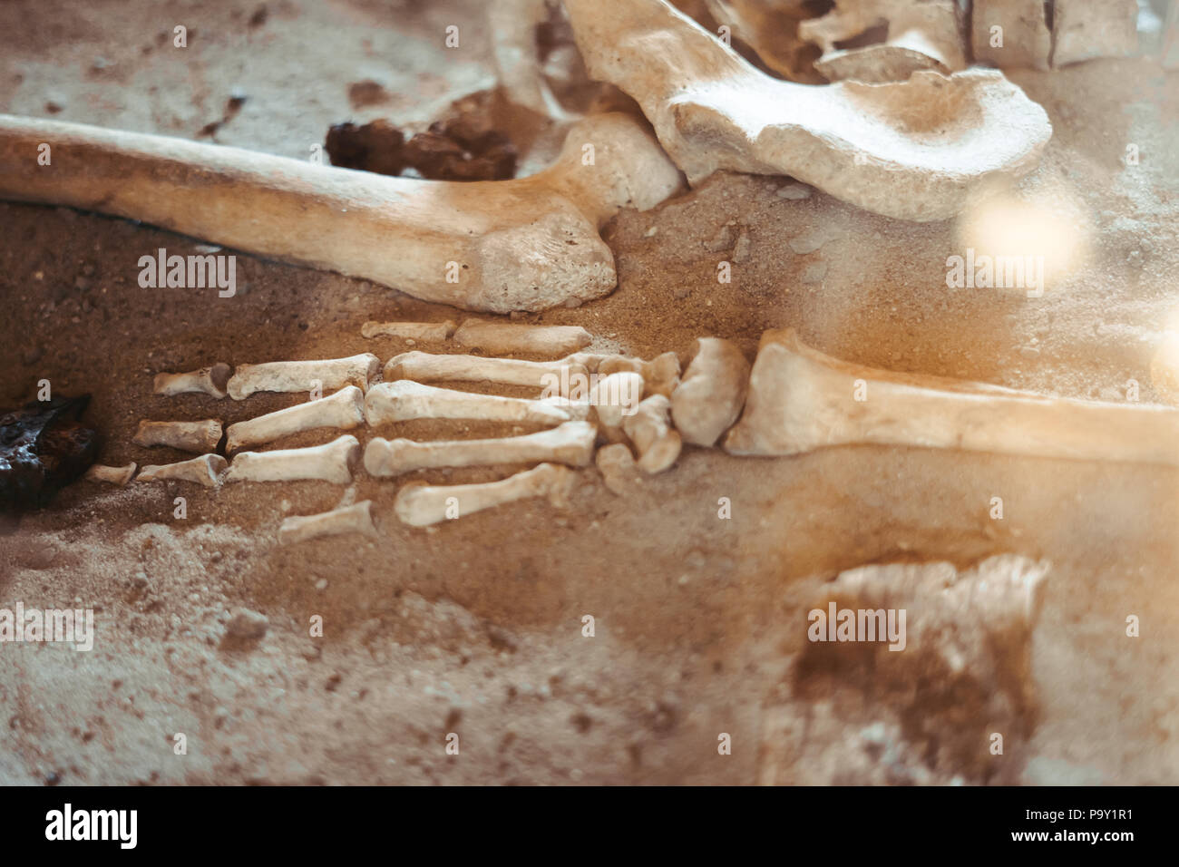 Archäologische Ausgrabungen und Funde aus Knochen der ein Skelett in einer menschlichen Beerdigung, ein Detail der historischen Forschung, die Vorgeschichte. Stockfoto