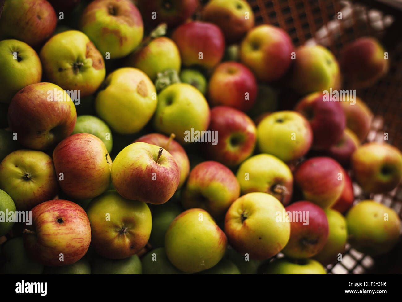 Äpfel im Korb, Detailansicht, organische und gesundes Essen. Stockfoto