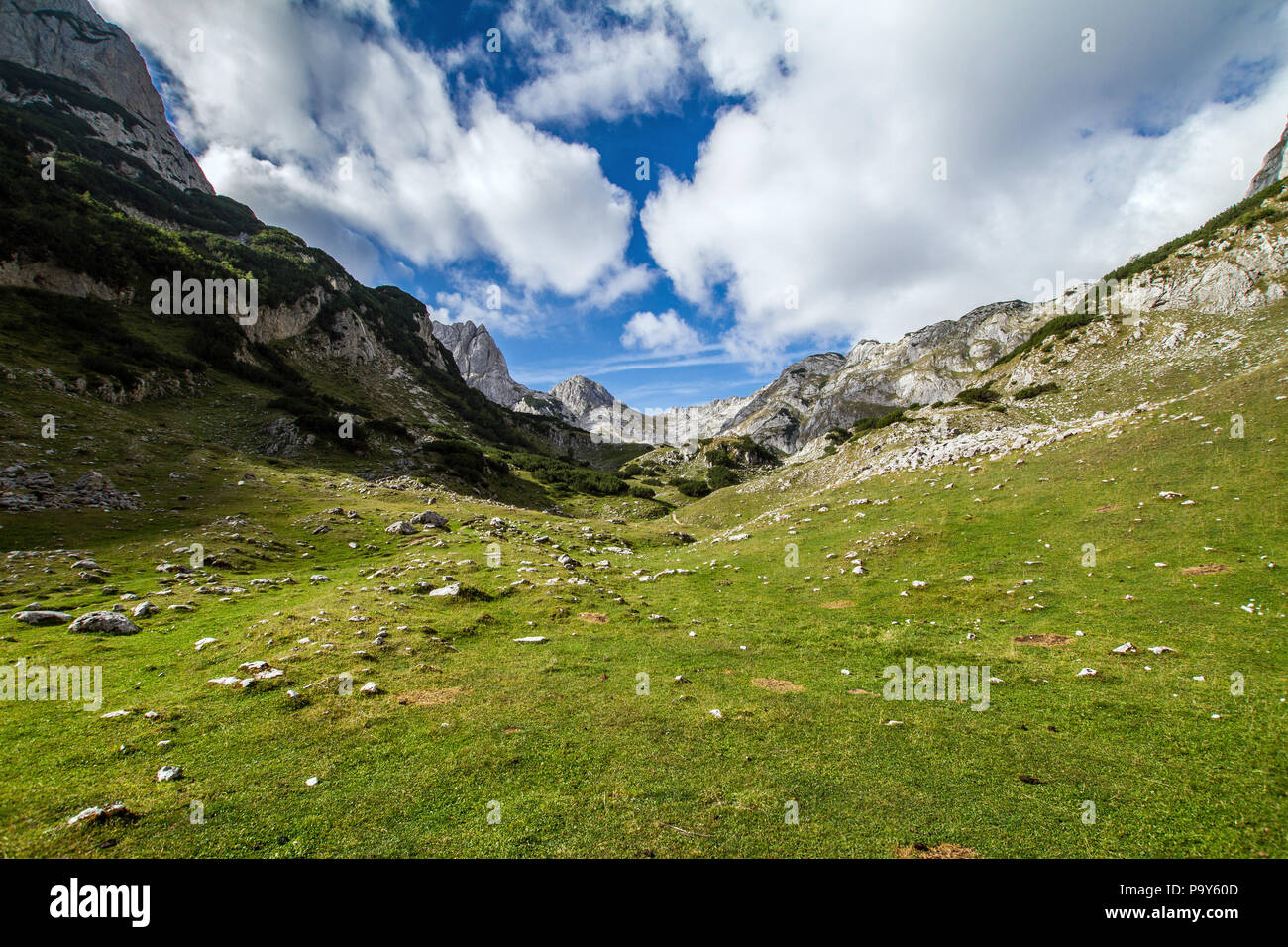 Montenegro, Nationalpark Durmitor Stockfoto