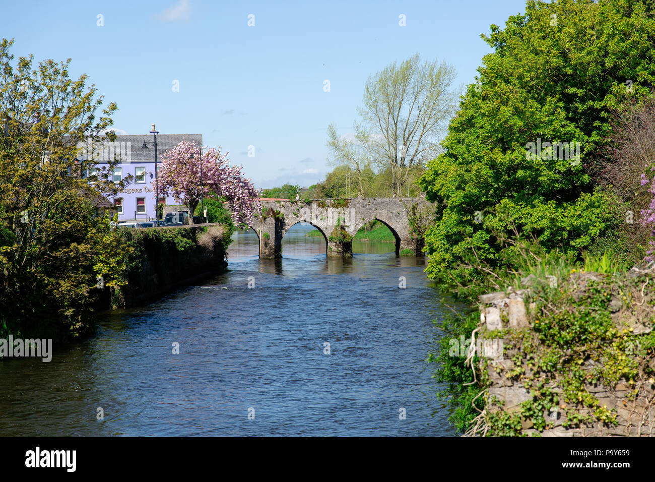 Verkleidung Alte Steinbrücke über den Fluss Boyne. Verkleidung, Grafschaft Meath, Leinster, Irland Stockfoto