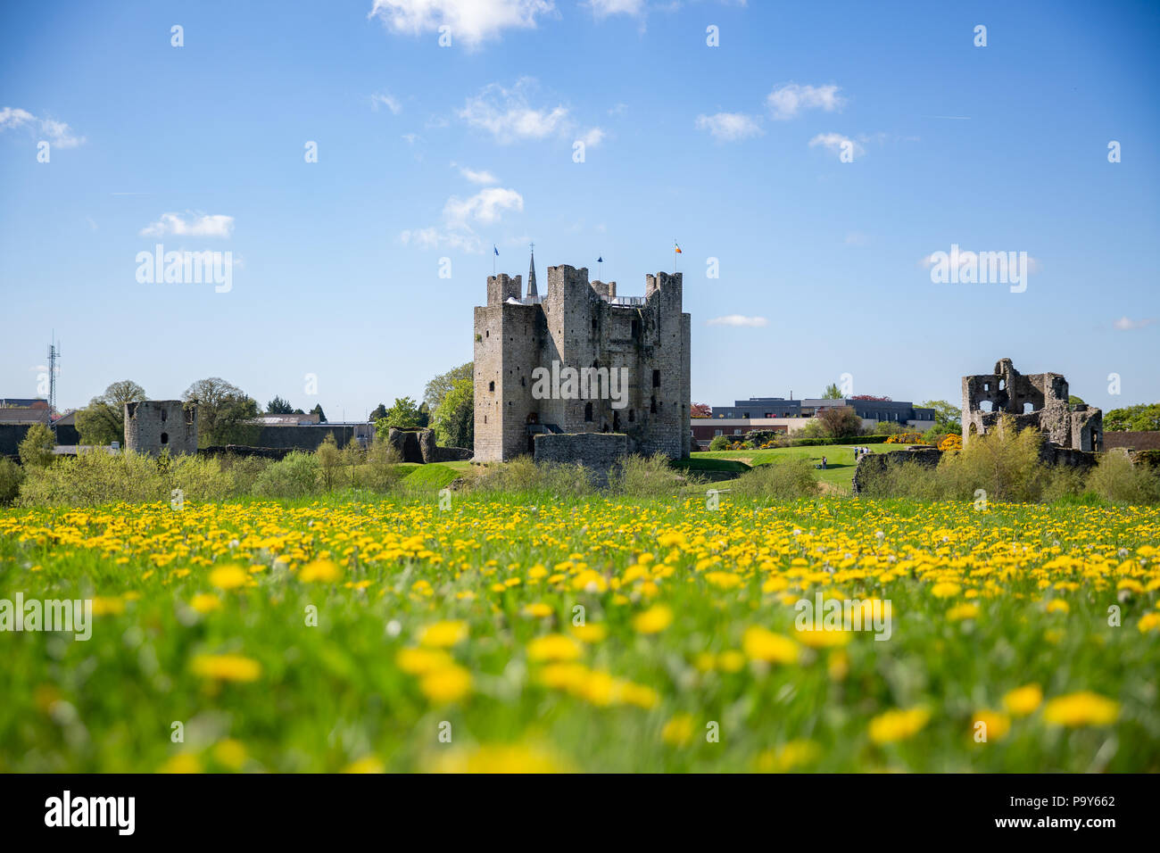 Die größte normannische Burg in Irland - Trim Castle am südlichen Ufer des Flusses Boyne in der Grafschaft Meath, Leinster, Irland Stockfoto