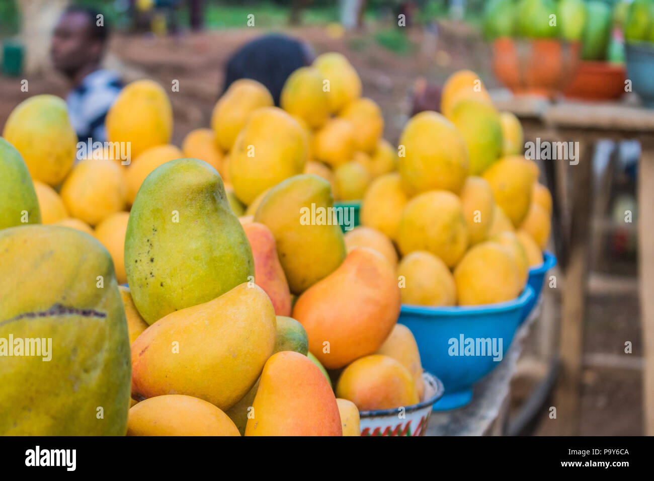 Gelbe, rote und grüne afrikanischen mango Obst in kleine Portionen für den Verkauf in einem Markt angeordnet. Stockfoto