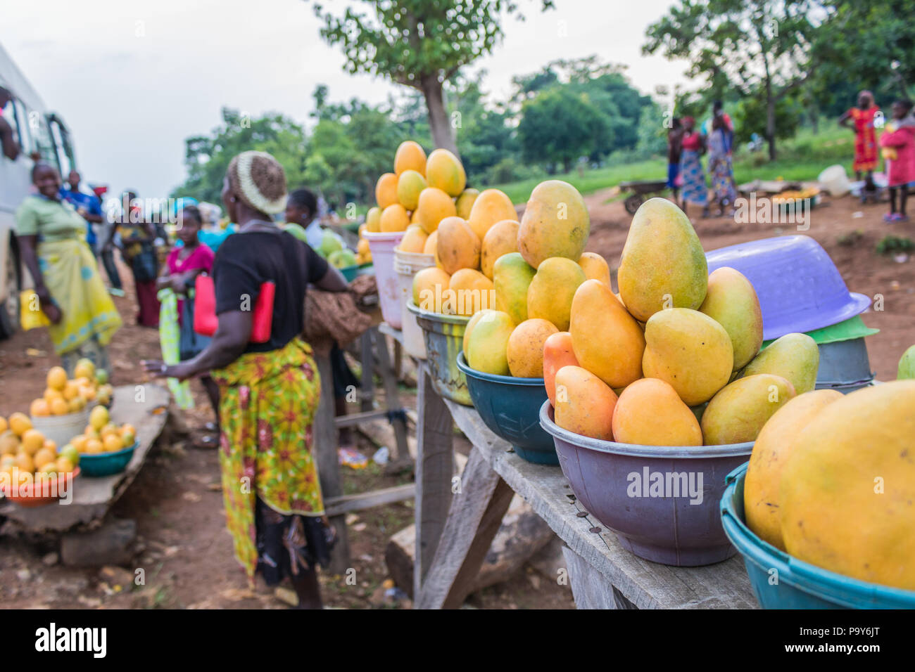 Gelbe und grüne afrikanischen mango Obst in kleine Portionen für den Verkauf in einem Markt angeordnet. Stockfoto