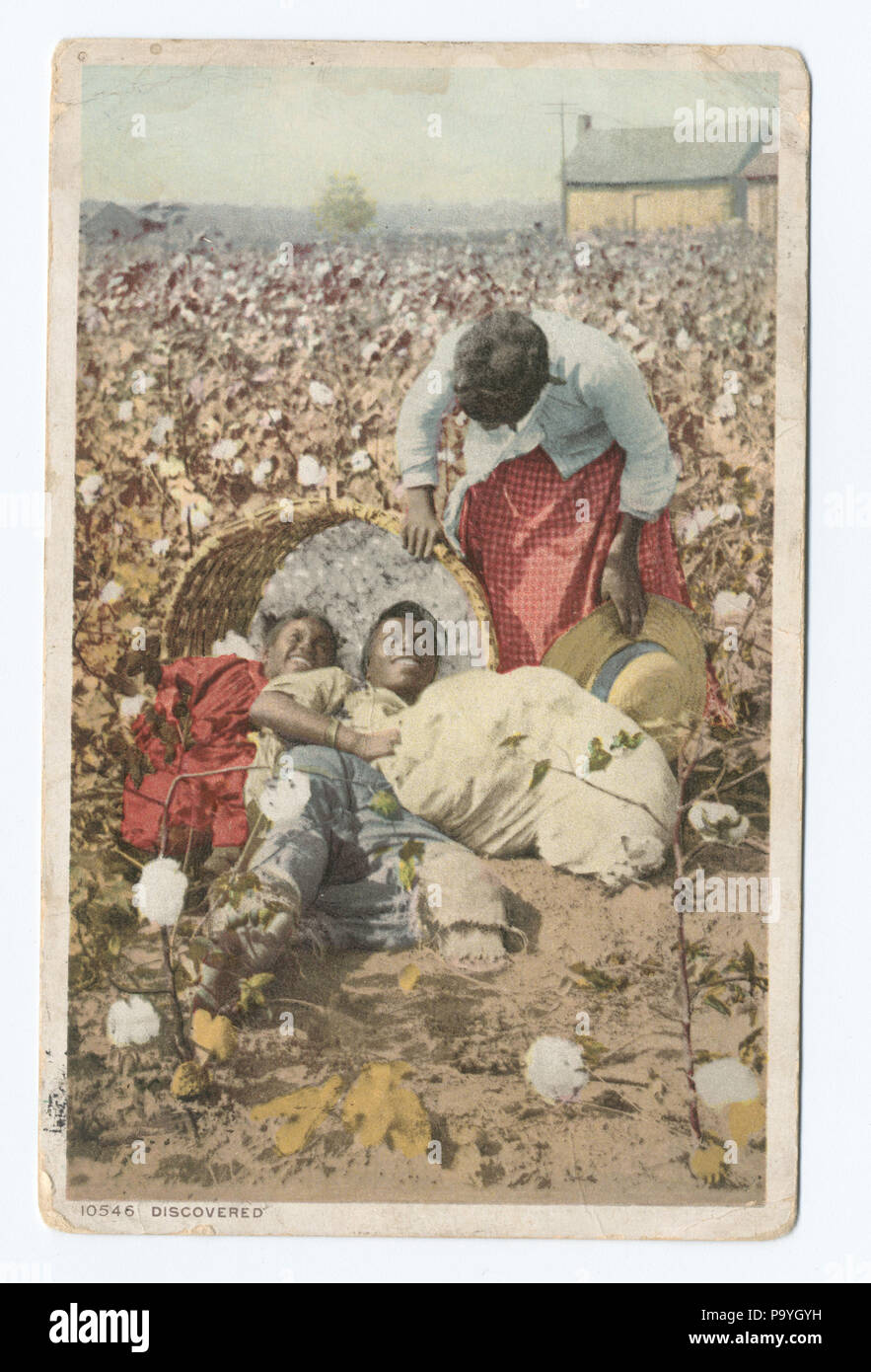 580 entdeckt, im Land von König Baumwolle (Cotton Field) (Nypl b 12647398-68806) Stockfoto