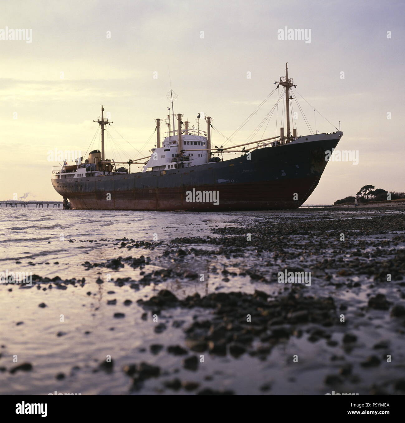 Ajaxnetphoto Netley Southampton England Havarie Der Frachter Sam G Auf Netley Strand Nach Dem Ziehen Ihre