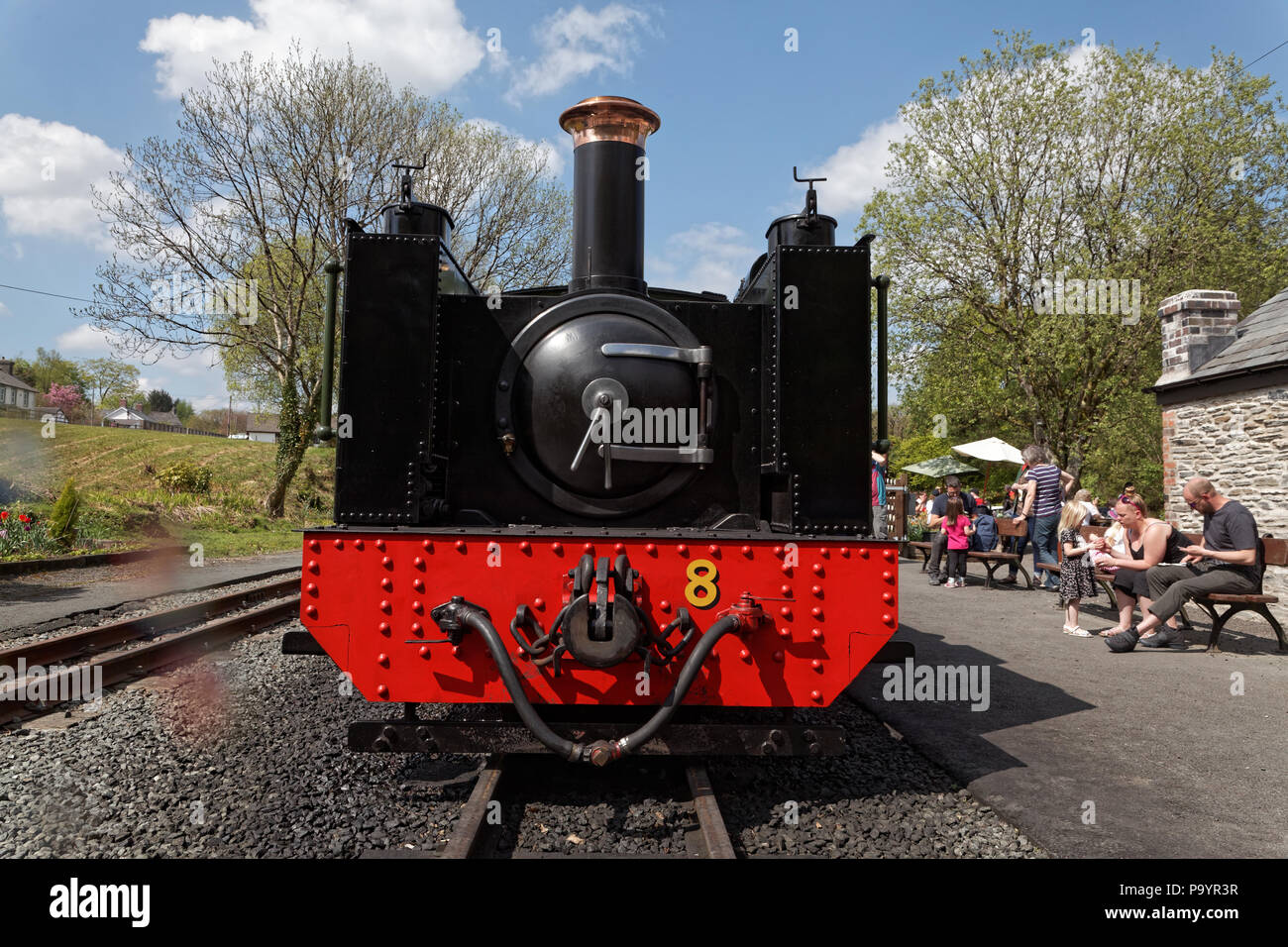 Das Tal von rheidol Railway (Rheilffordd Cwm Rheidol), Aberystwyth, Wales. Lok Nr. 8 - Llywelwyn, 1923 in Swindon gebaut Stockfoto