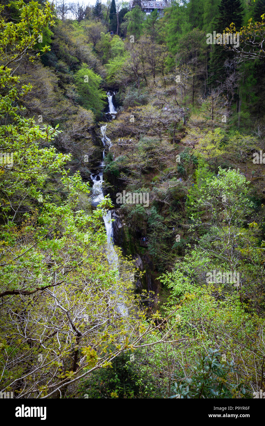 Devil's Bridge fällt - Rhaeadrau Pontarfybach, Ceredigion, Wales, Großbritannien Stockfoto