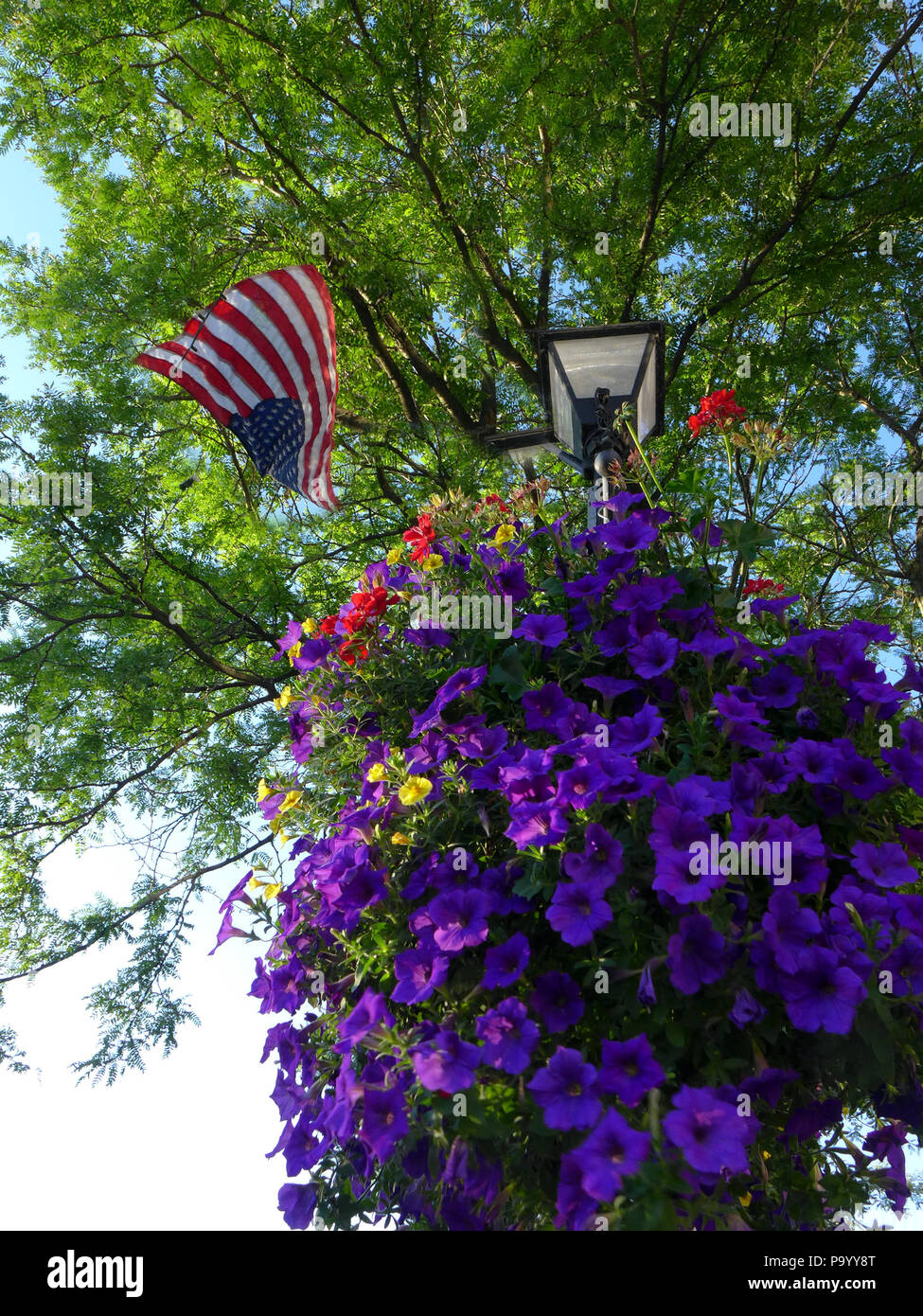 Dekorativer Blumenkorb und Flagge auf der Main Street. Stockfoto