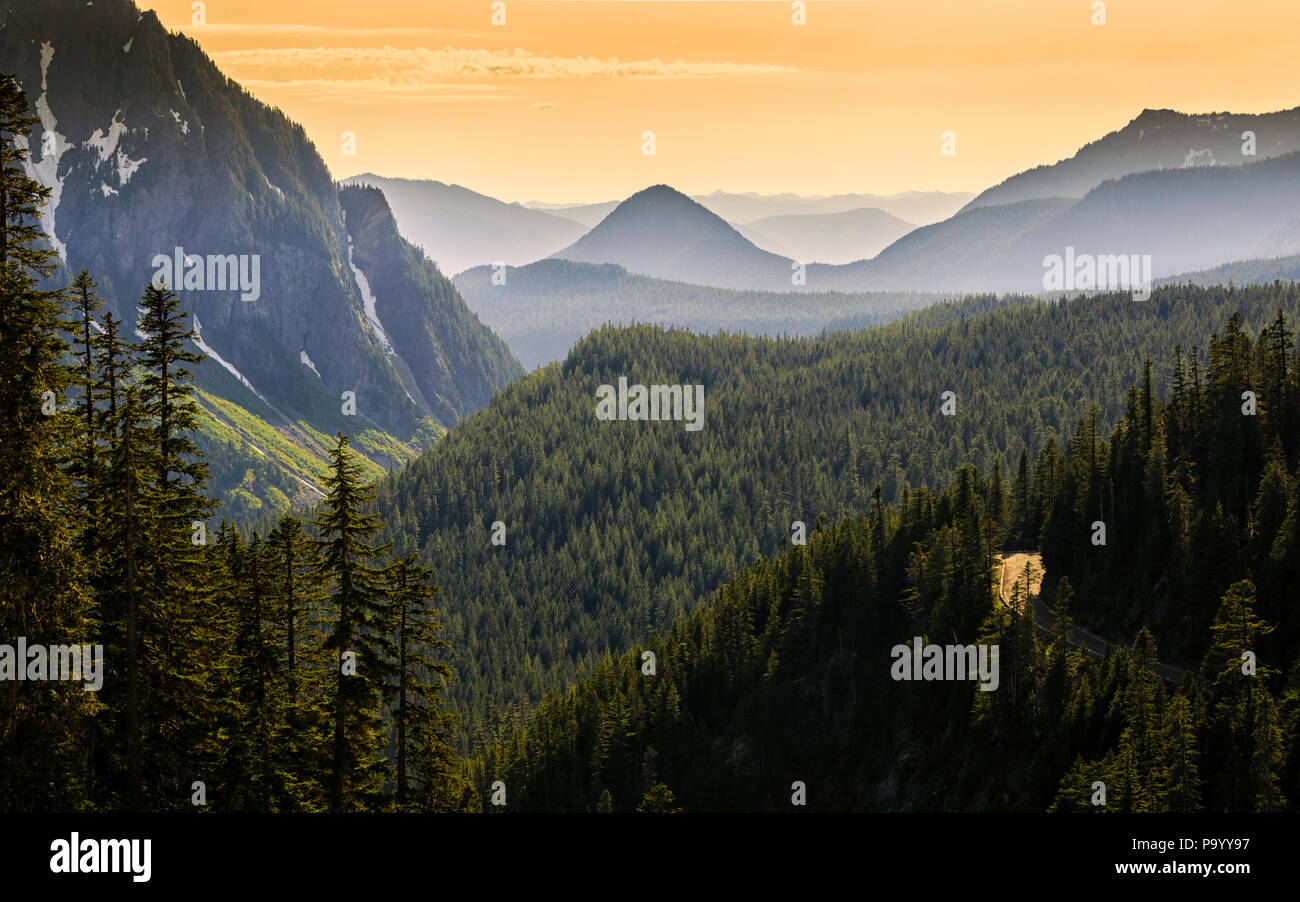 Tal im Mount Rainier NP Stockfoto