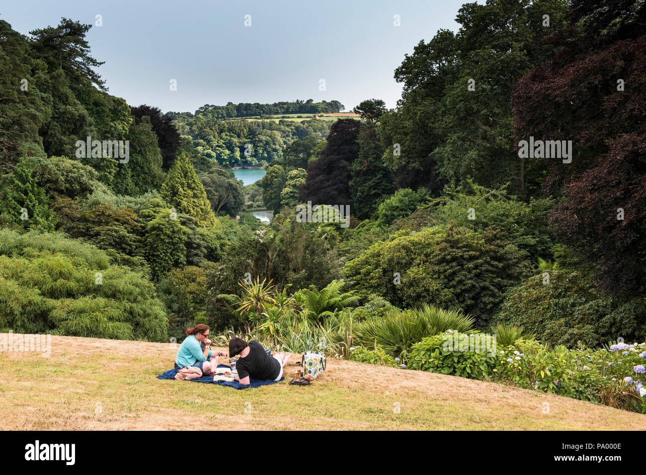 Leute genießen ein Picknick auf der Wiese im Trebah Garten in Cornwall. Stockfoto