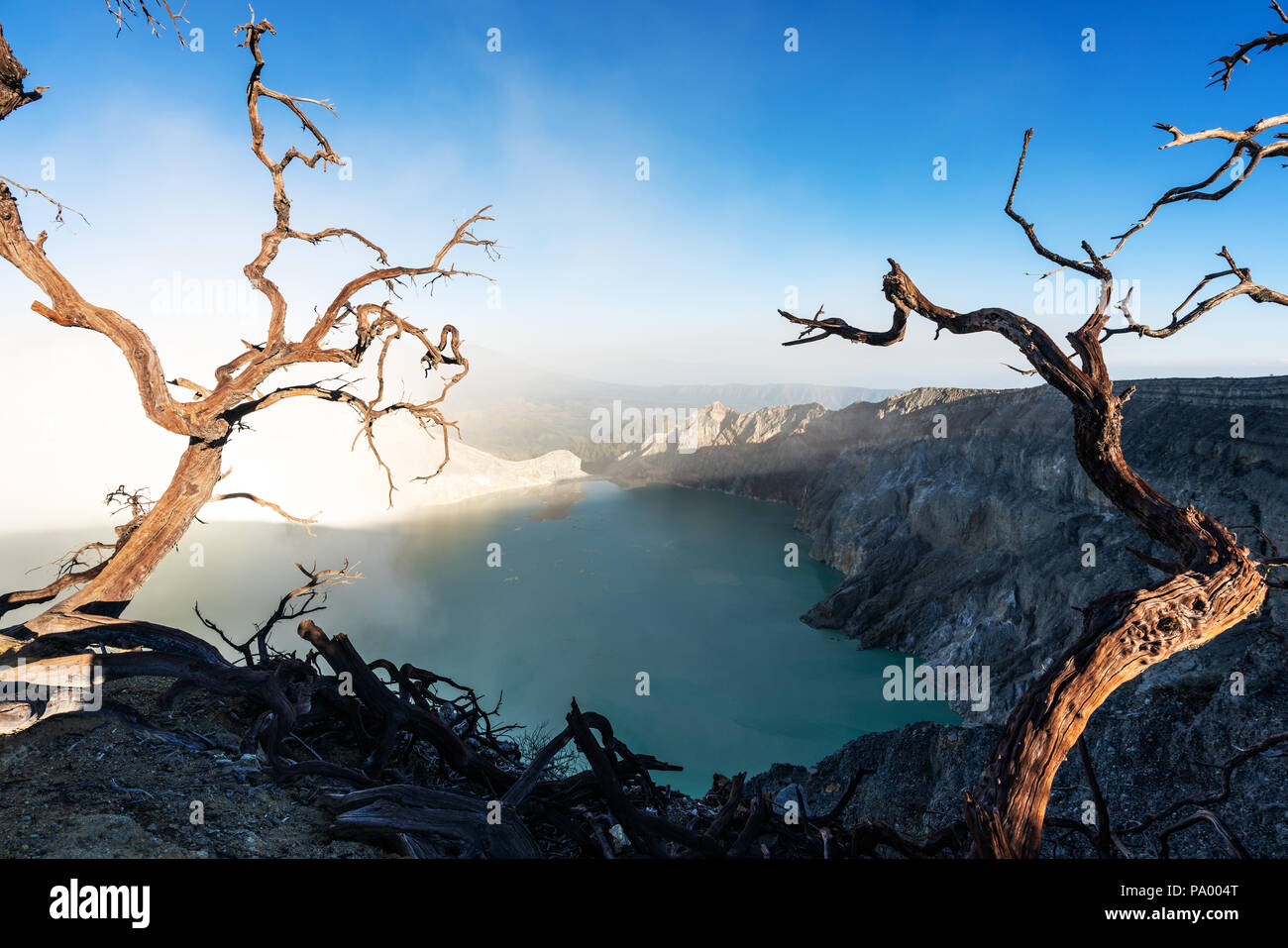 Tote Bäume und Rauch mit See auf Kawah Ijen vulkanischen, berühmte Reiseziel und touristische Attraktion in Indonesien Stockfoto
