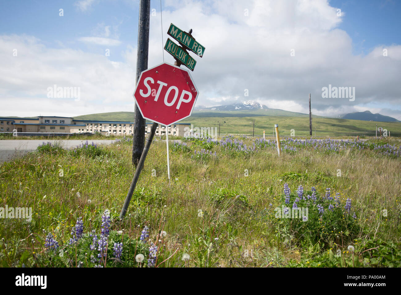Straßenschild, er, Alaska Stockfoto