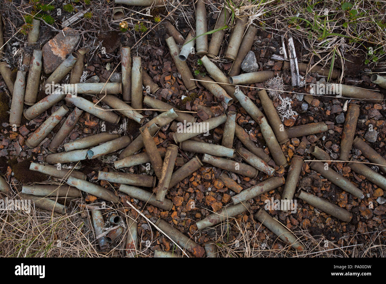 Nahaufnahme von Machine Gun Shells, Aleuten, Alaska Stockfoto