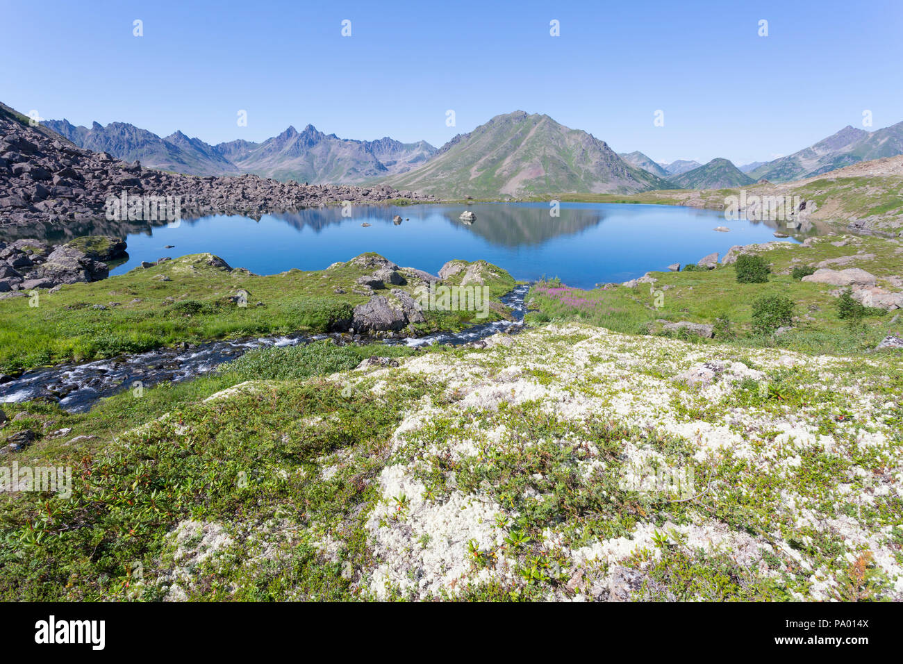 Remote See in Kamtschatka Stockfoto