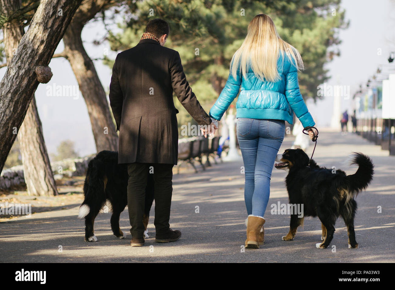 Junges Paar mit ihren liebenswerten Berner Sennenhunde. Stockfoto