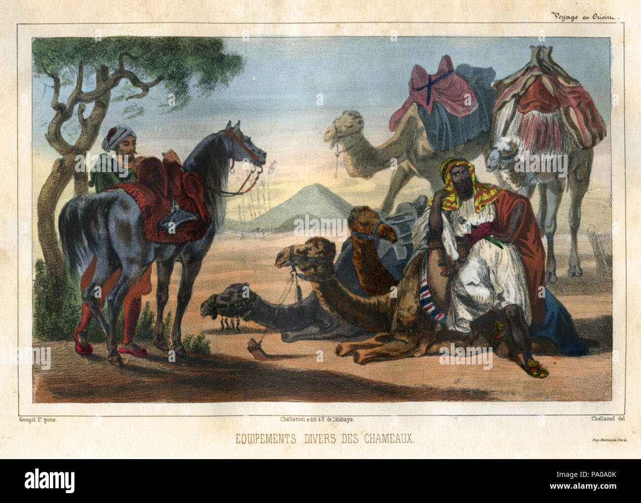624 Equipements Taucher des chameaux-Goupil - Frédéric Auguste fesquet Antoine - 1843 Stockfoto