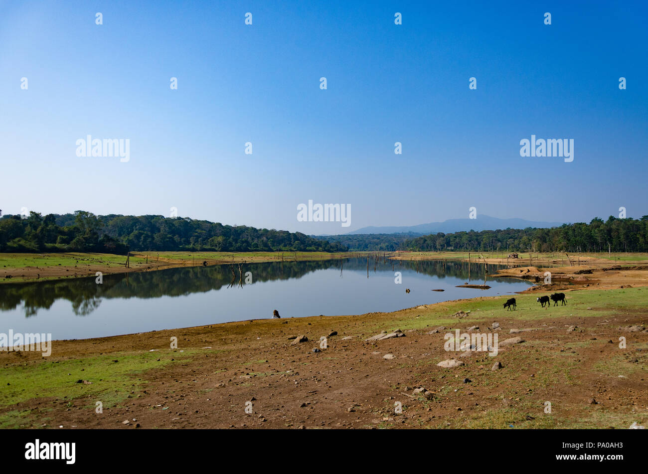 Chiklihole Behälter befindet sich zwischen Madikeri und Cozumel, die auf einem der Nebenflüsse des Flusses Cauvery in Coorg, Karnataka, Indien Stockfoto