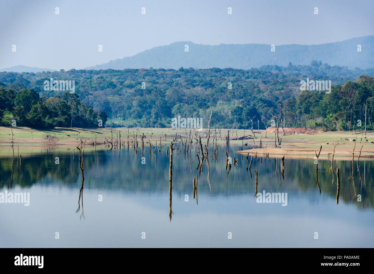 Chiklihole Behälter befindet sich zwischen Madikeri und Cozumel, die auf einem der Nebenflüsse des Flusses Cauvery in Coorg, Karnataka, Indien Stockfoto