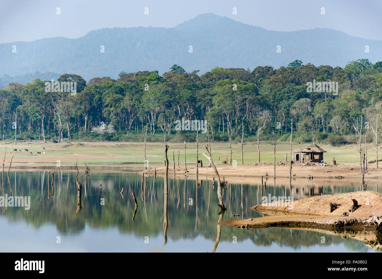 Chiklihole Behälter befindet sich zwischen Madikeri und Cozumel, die auf einem der Nebenflüsse des Flusses Cauvery in Coorg, Karnataka, Indien Stockfoto