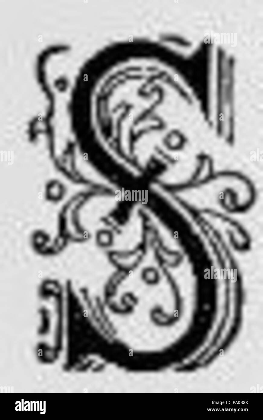 639 Fancy Buchstabe S Stockfoto