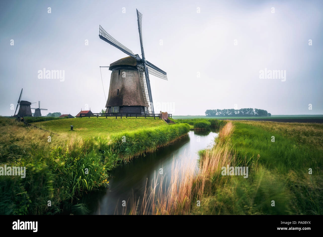 Alte holländische Windmühlen in kalten Morgen Landschaft in der Nähe von Amsterdam Stockfoto