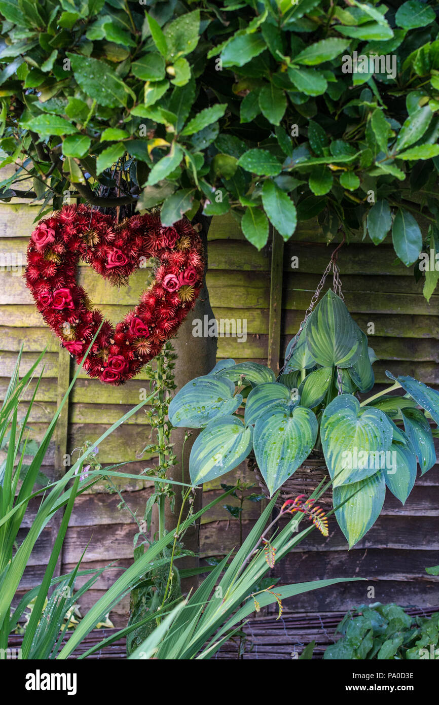 Liebe Garten rustikalen Garten verfügt über rote herzförmige getrocknete Blumen hängend Bay Tree mit Hosta und Crocosmia Abschluss Zusammensetzung Stockfoto
