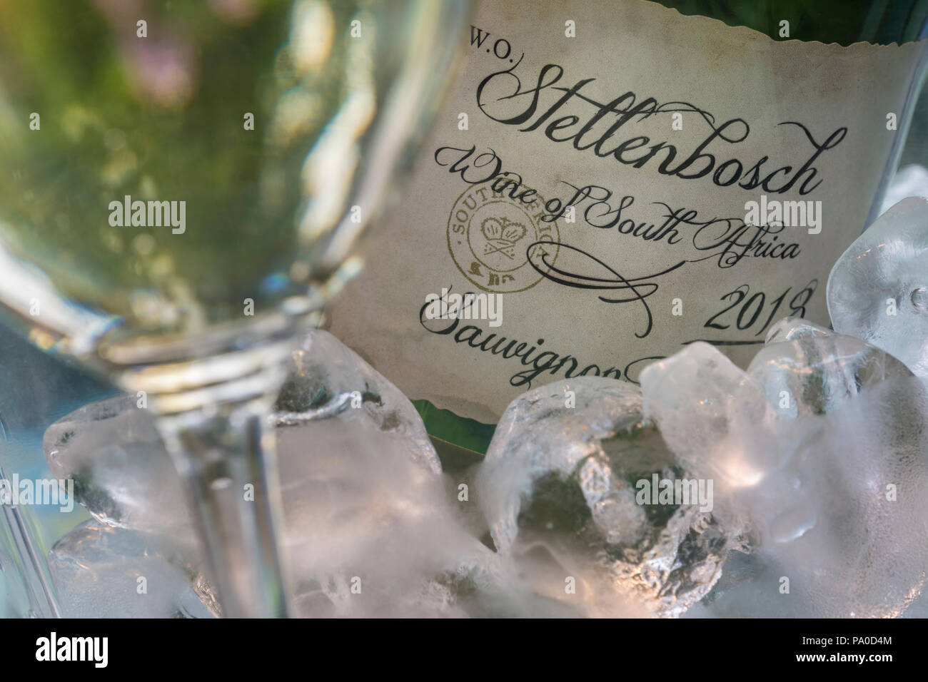 Stellenbosch Südafrika Weißwein Sauvignon Blanc Flasche im Eiskühler Eimer mit Weinglas in sonniger Gartenlage Stockfoto