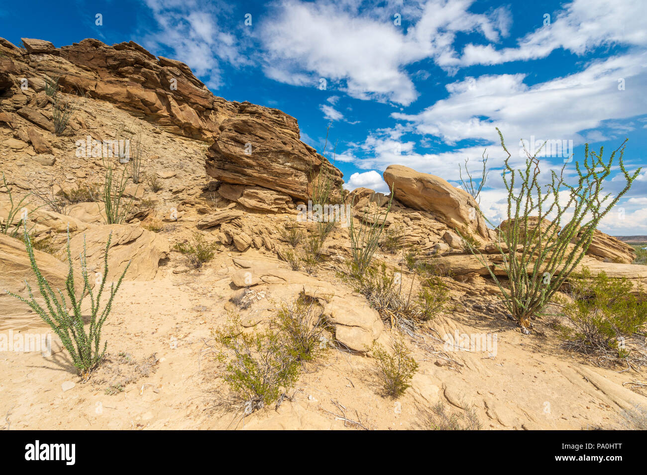 Big Bend Nationalpark Stockfoto